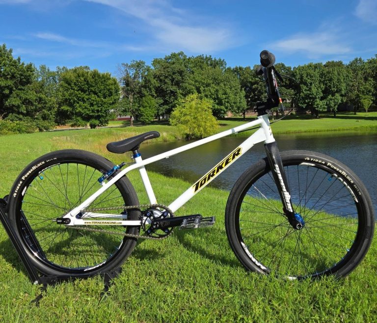David's 2025 Torker PRO-X Pro XL BMX Cruiser